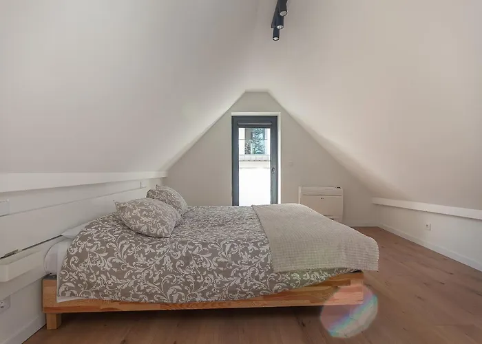 Gravito 53 By Sweet *